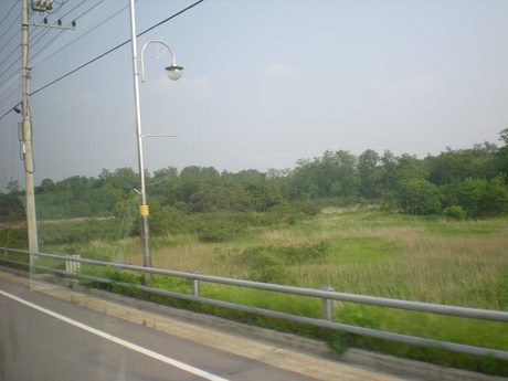 Photo 46